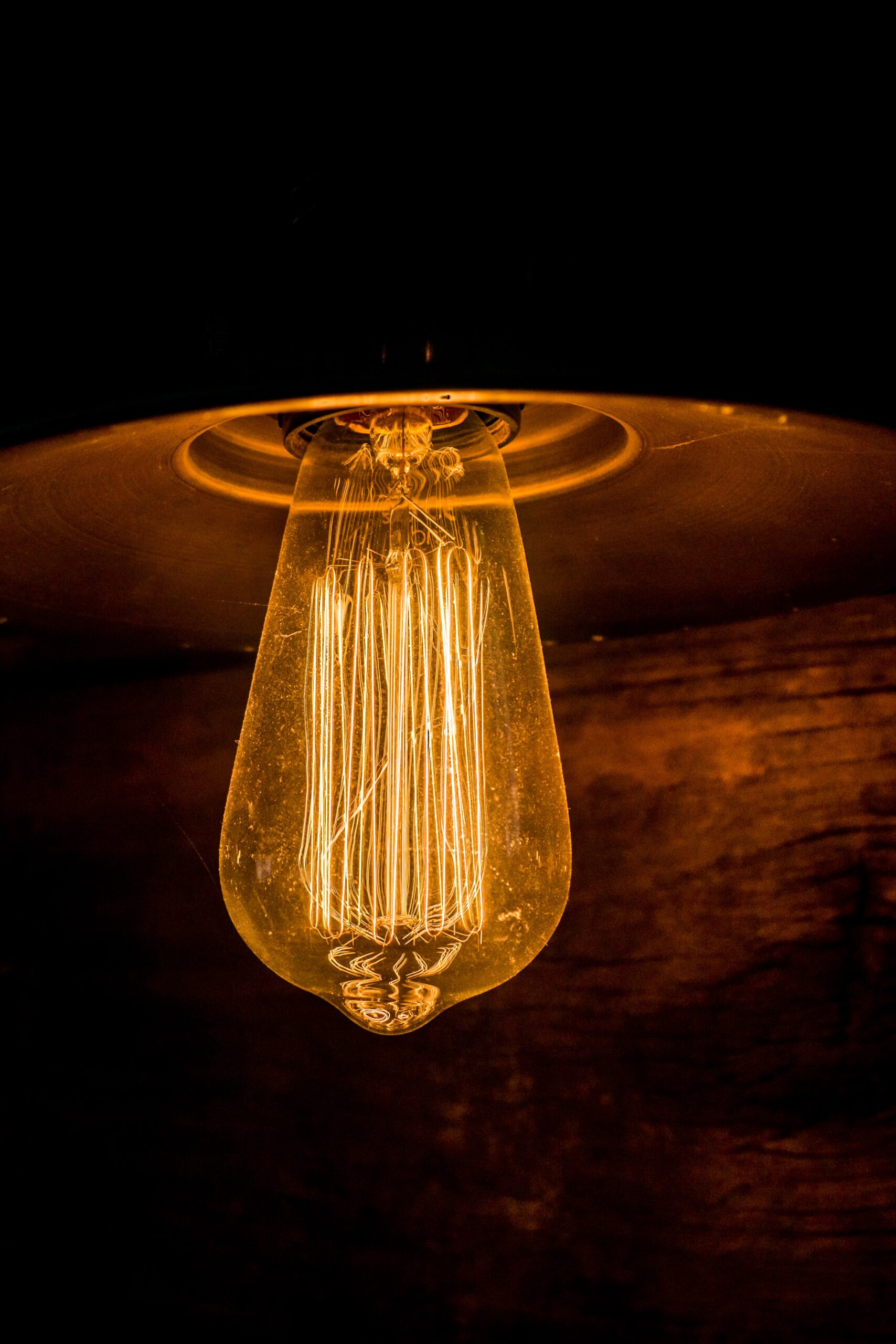 Edison Lightbulb lit